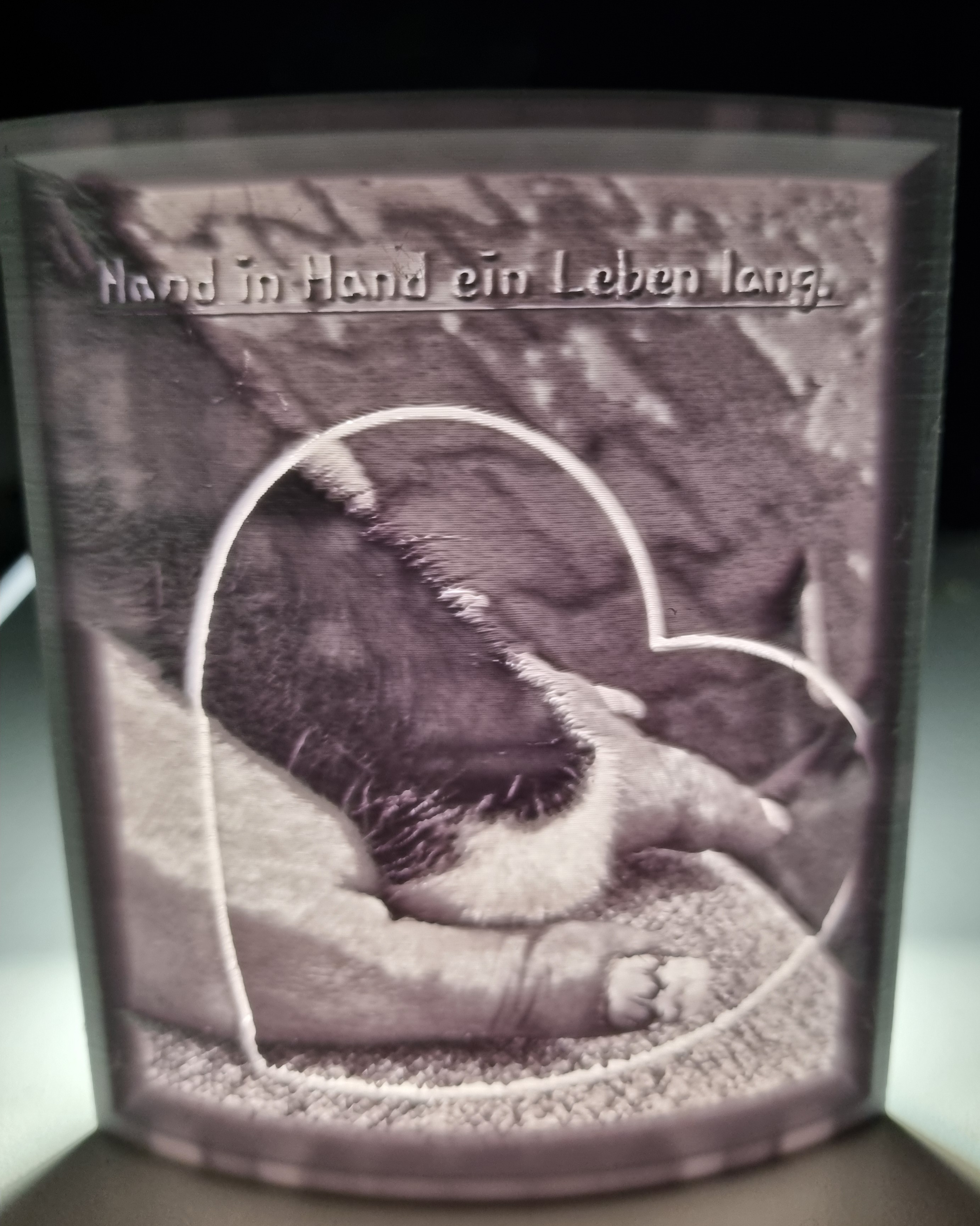 Galeriebild
