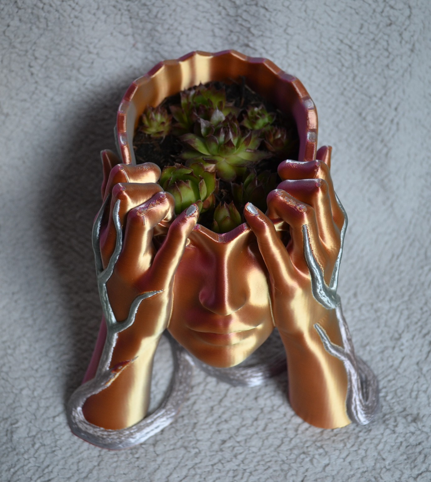 Galeriebild