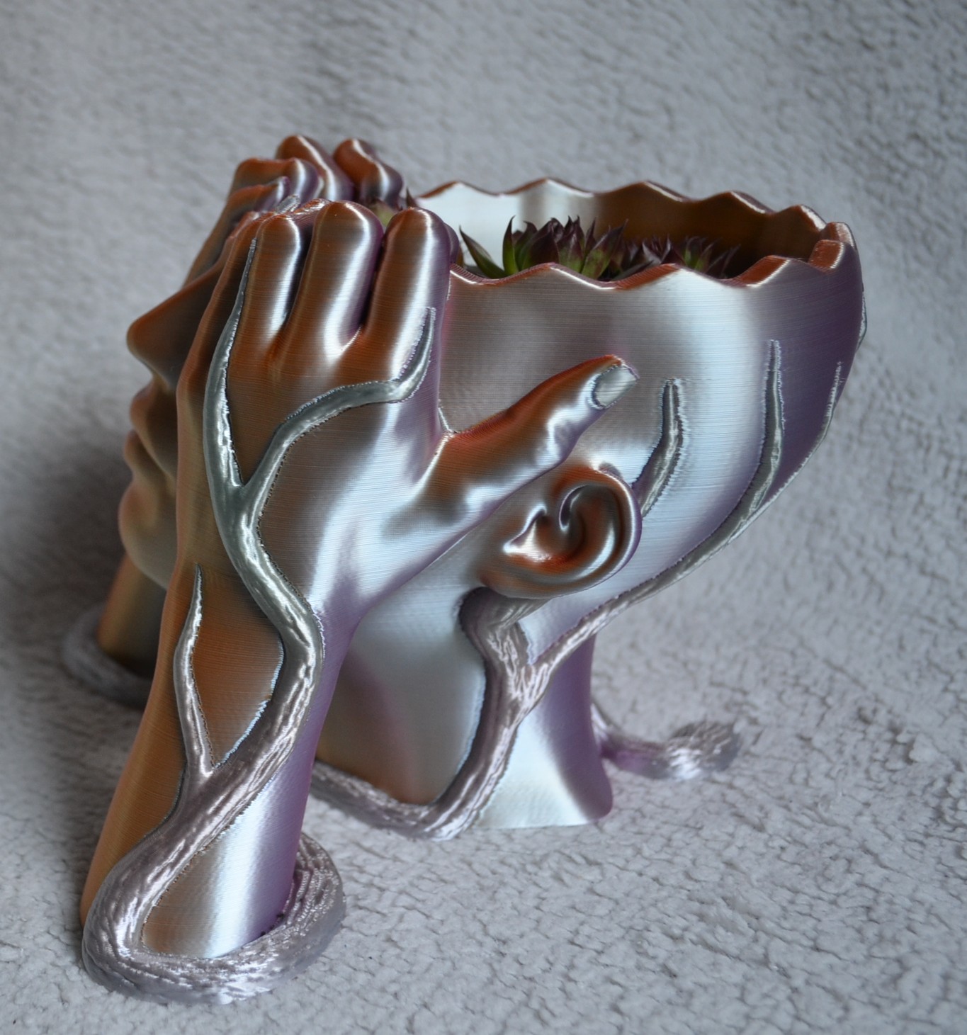 Galeriebild
